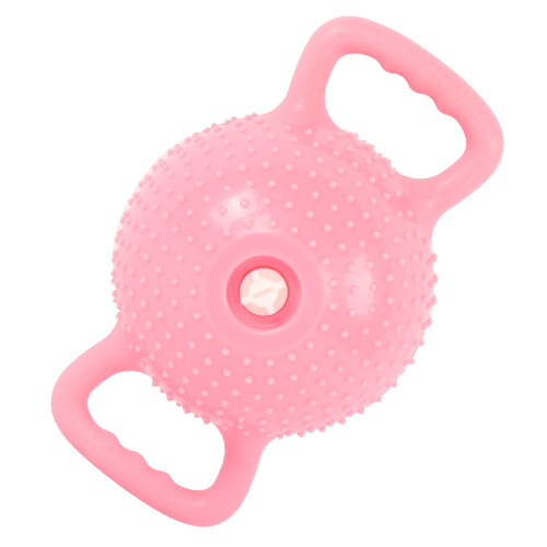 Yoga Wasser Kettlebell Wassergefüllter 2
