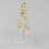 Middle spine with removable pelvis and leg bones 2