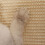Scratching Post Wall Mounted Scratchprevent Mats for Cat Indoor 6