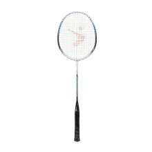 Paar blaues Badmintonschläger-Set aus