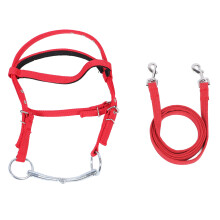 Pferdezaumzeug, Nylon, stilvoll, verstellbar,