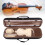 Violinenbox in 4/4-Größe mit Hygrometer, 11