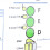 Flötengriff-Akkorddiagramm, Anfänger, Schüler, 15