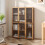 Living And Home Storage Cabinet with Acrylic Doors 1
