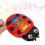 2Pcs Kinder Xylophon Bunte Sieben Sterne 1