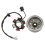 6 spule Stator Platte Vliegwiel Roller Starke 7