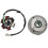 6 spule Stator Platte Vliegwiel Roller Starke 11