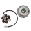 6 spule Stator Platte Vliegwiel Roller Starke 4