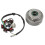 6 spule Stator Platte Vliegwiel Roller Starke 9