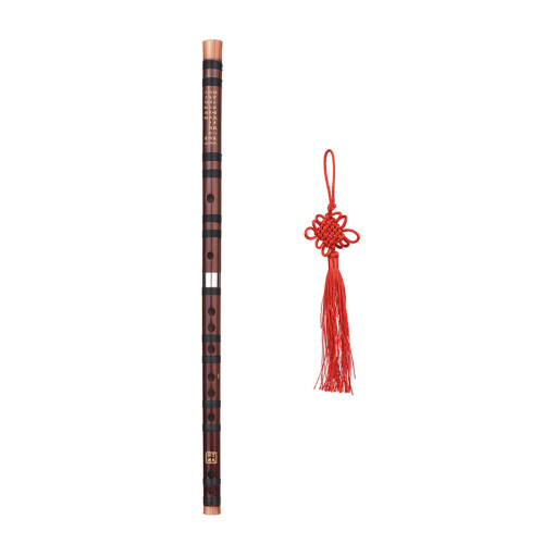 Traditionelles chinesisches Instrument in 1