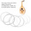 6PCS Oud Saiten Set 1G 2D 3A 4E 5B 6F Nylon 1