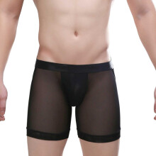 Transparent Men's Boxer Shorts Sexy SeeThrough Lingerie Soft Comfortable