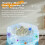 Automatic Clothes Washer 8L Capacity Washing Machine for-Purple 7