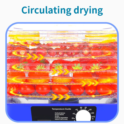 Elektrische Voedseldehydrator Fruit Droogmachine 5 Layer-blauw 1