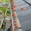 Gutter Guard, Plastic Protector, Net Rolls, Downpipe, Gutter Covers, DIY Filter 3