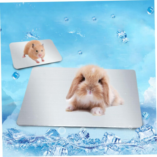 Cooling Plate for Hamsters, Cooling Pad for Pets, Rabbit Beds, Summer Mat 2