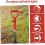 Replacement for Shovel Handle, Dshaped Multifunctional Plastic Garden Accessories, Red 4