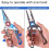 fish gripping pliers, multifunctional, for cutting, hook remover 4