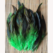 'Select pheasant feathers from 50 lots, measuring 12.520 cm in green, out of 13 types of colors.'