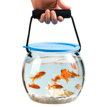 Fishing transport container Bait box for fishing Transparent breathable portable deco for children travel outdoor desk