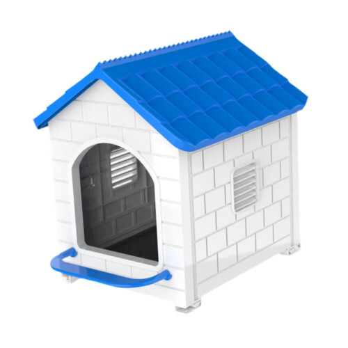 Happy Chickens, Easy to Care, Blue Without Mat