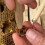 Beekeeping equipment, practical beekeeping tools, functional, garden 4