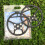 Edelstahl Micro Spike crampon for walking, jogging, climbing(M3542) 5