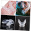 Diving Silicone Snorkel Bite Silica Gel Transparent 4