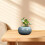 Ceramic Vase Planter With 300ml Capacity For Water-Mo Mei 3