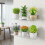 1 Piece Multi Functional Shelf Acrylic Materials-2 pack 6