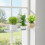 1 Piece Multi Functional Shelf Acrylic Materials-2 pack 7
