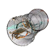Hummerfalle – lobster trap, Angelfalle fishing trap, multifunktional multifunctional, faltbar foldable