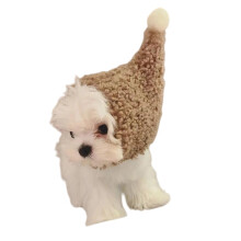Warm Fleece Cap For Small Dogs and Cats Cosplay Apparel and Cold