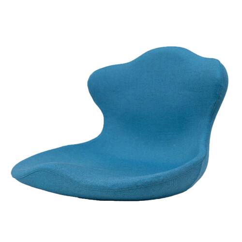 Launderable Removable Protect Chair Pad Lumbar Assist-S