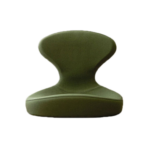 Flexible Pose Corrector Pillow Twelve hundred Car and Desk-T