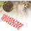 Digital number box for beekeeping, sign frame, beekeeping equipment, beekeeping, marking board, tools 4