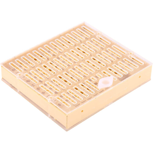 Beekeeping Queen Rearing Cups Box Cell Bar Blocks Caps Bee Keeper Equipment 2
