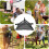 Camping Table Storage Bag, Folding Table Bag  Triangular Mesh Bag for Picnic Beach 3