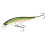 Pointer 100 mm Bait Rainbow 1