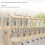 Rotating Nonrust Steel Clothes Pins Enhancing Spring-White 6