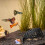 Cachette artificielle pour Aquariums, cachettes, Terrarium, 6