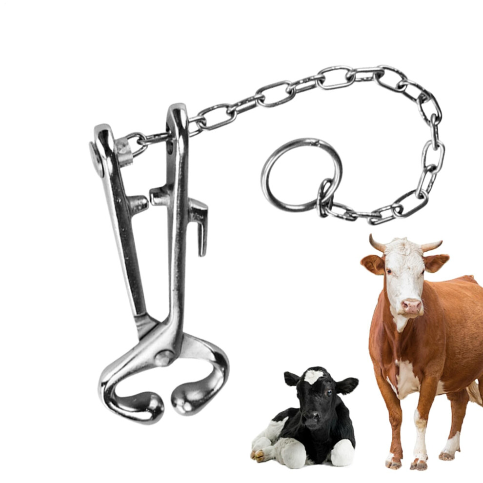 Roundnose Pliers Bullnose Pliers Stainless Steel Clip For Animals Garden Accessories For Veterinarians, Agriculture Beginner Equipment 9365049582407