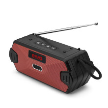Audio Companion: Diseño portátil, estéreo inalámbrico verdadero, radio FM con búsqueda automática de canales, batería recargable, soporte para