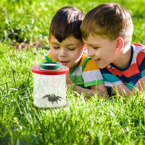 Insect observation container, insect observation box, spider insect observation box, insert viewer, magnifier, backyard explorer 1