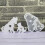 Durability Elastics Dog Cats Statue Silicone Mold for Cement 6