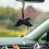 Practical Angel Wing Auto Decors Sculpture-Single sided black w 4