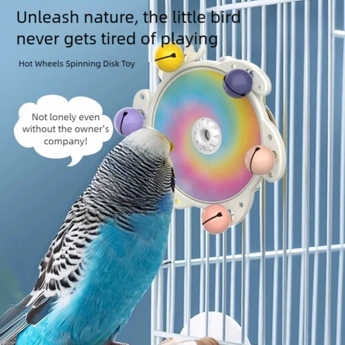 Parakeets Chewing Disc Rotate Flying Saucers Interactively-1 1