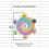Parakeets Chewing Disc Rotate Flying Saucers Interactively-1 3