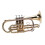 Bb-Trompetenset, Gold-Trompete, 9