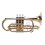Bb-Trompetenset, Gold-Trompete, 15